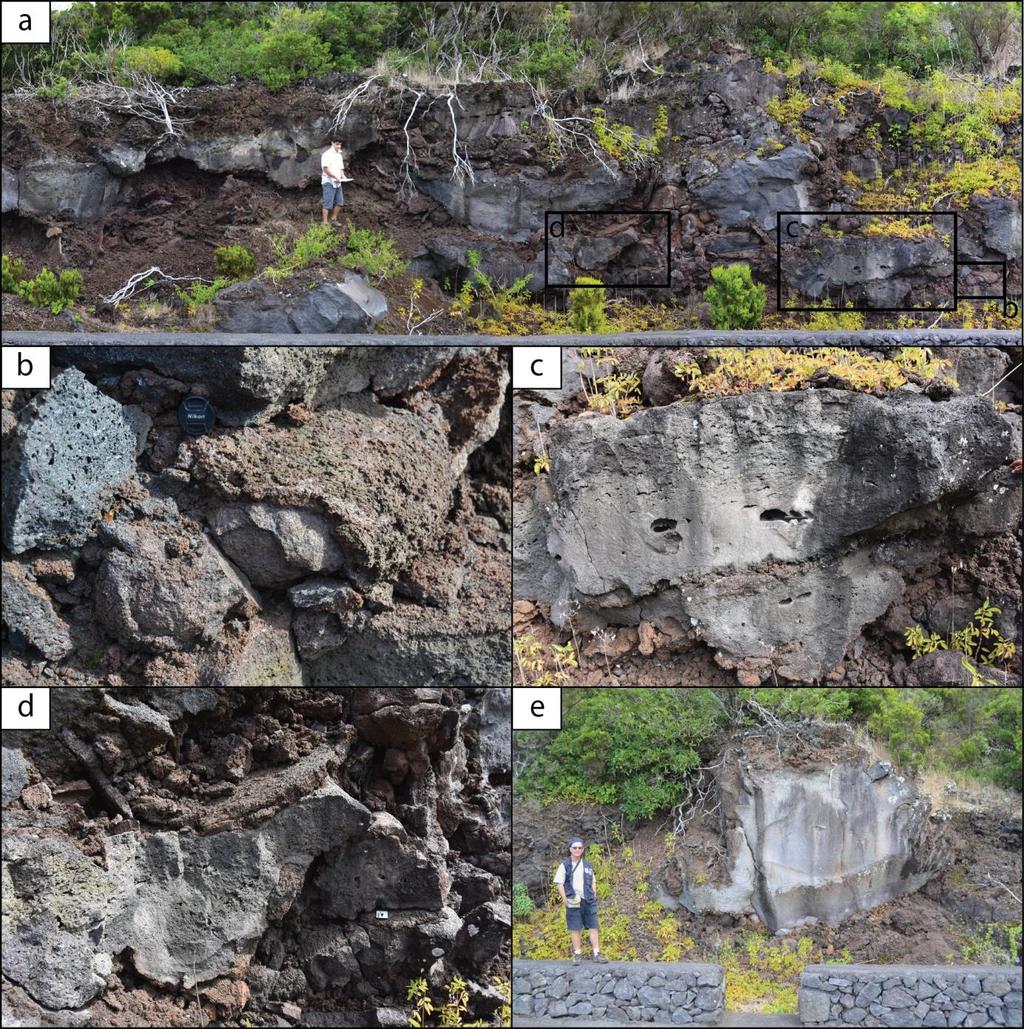 Figure 7 - Representative photographs of the different surface morphologies of the Ribeira do Nabo II lava flow field.