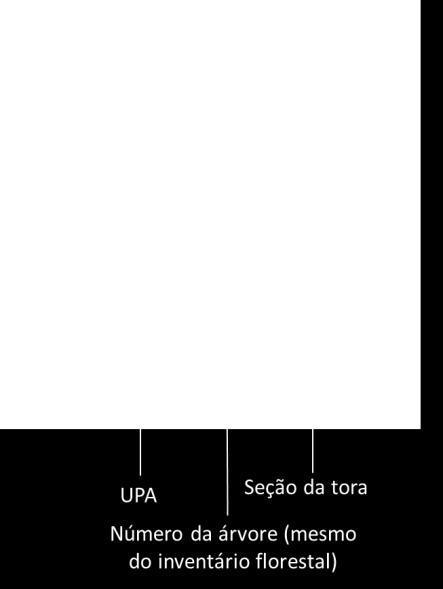 Operações no pátio de estocagem (romaneio) As atividades envolvidas nas operações no pátio de estocagem são descritas abaixo: Identificação das toras: uma vez no pátio, as toras serão identificadas