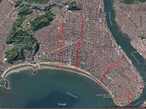 perspectiva, este inventário contabilizou 1214 árvores em cerca de 8 km de percurso, obtendo-se uma média de 2 árvores a cada 10 m.