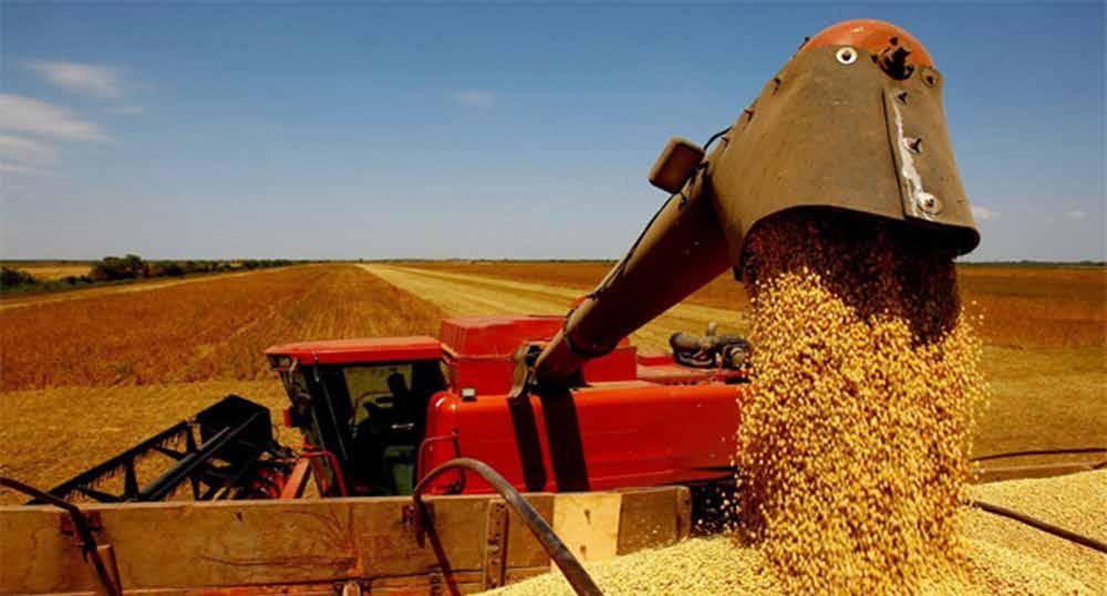 br - R$1,50 Safra de grãos deve crescer 7,5% em Goiás, aponta Conab A safra de grãos 2018/19 pode chegar a 22,8 milhões de toneladas em Goiás, com crescimento da produção de 7,5% em relação à safra