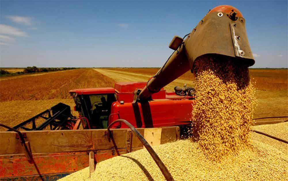 2 cotidiano Goiânia, 10 de Novembro de 2018 Diário do Estado Safra de grãos deve crescer 7,5% em Goiás A safra de grãos 2018/19 pode chegar a 22,8 milhões de toneladas em Goiás, com crescimento da