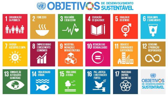 próximos 15 anos, como única e resumida finalidade, propiciar padrões de vida adequados aos habitantes do planeta, de forma sustentável e com direitos iguais para todas as pessoas.