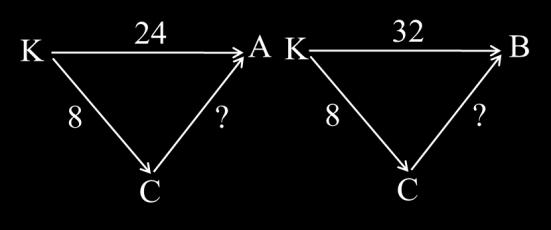 67 A transformação do modelo da relação essencial em três outros distintos (b = p x b, p = b m e m = b p) possibilita o estudo das propriedades do conceito de divisão consoante apresentado na próxima