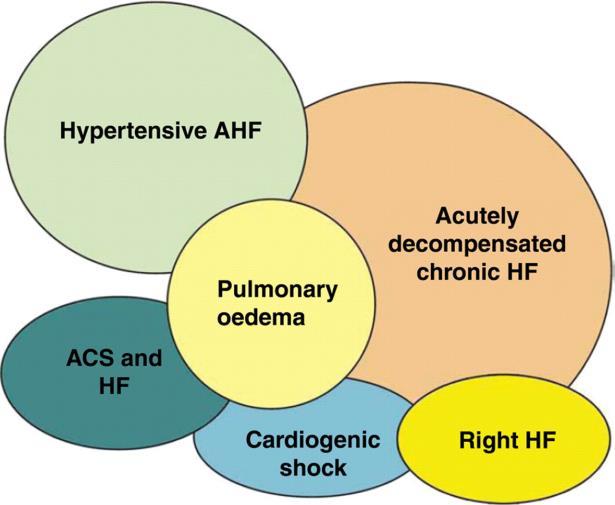 As síndromas de IC aguda McMurray J et al. 2012 ESC Heart Failure guidelines.