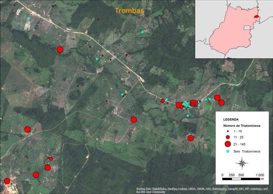 sordida nas localidades mostrou que as UDs com maior número de insetos capturados estavam localizadas na localidade de Trombas (Figura 8A) quando comparado com a localidade de Periquito, onde a