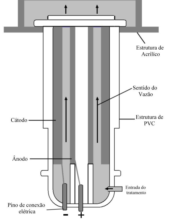 Figura 2: Corte transversal da estrutura do eletrodo.