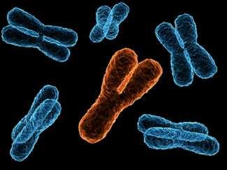 9. Inclusão de paternidade pelo DNA do