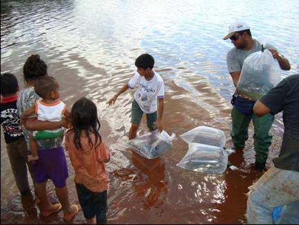 Monitoramento Os resultados do monitoramento já subsidiaram órgãos ambientais em investigações de eventos de morte de peixes nas proximidades de reservatórios.