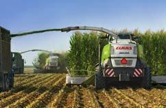 colheita. Espigas de milho até 100 t/ha (condições de colheita nos EUA ou na Itália) são processadas perfeitamente pelo ORBIS.