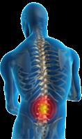 Biomecânica Aplicada na Musculação Coluna vertebral exercícios e cuidados Biomecânica Aplicada