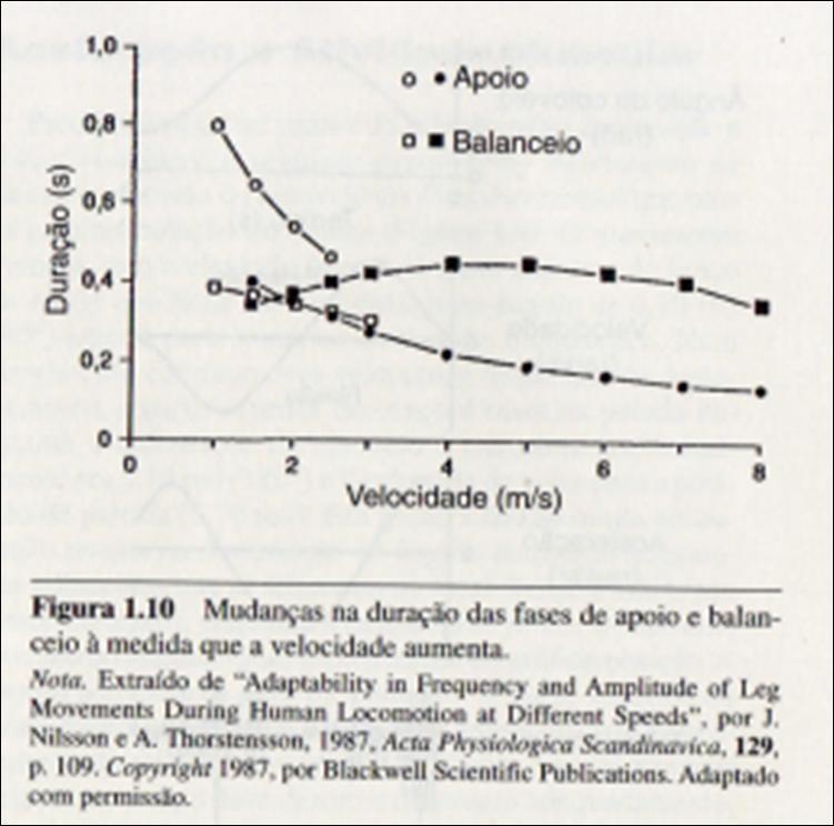 Biomecânica aplicada ao