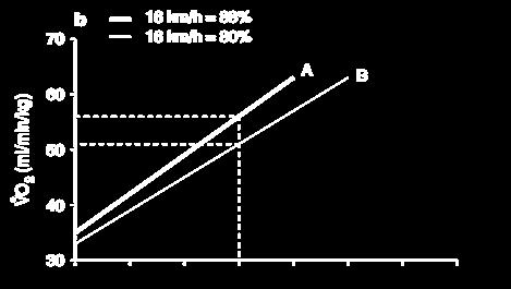 consumo de oxigênio (VO²máx) e limiar de lactato (LL) são tradicionamente