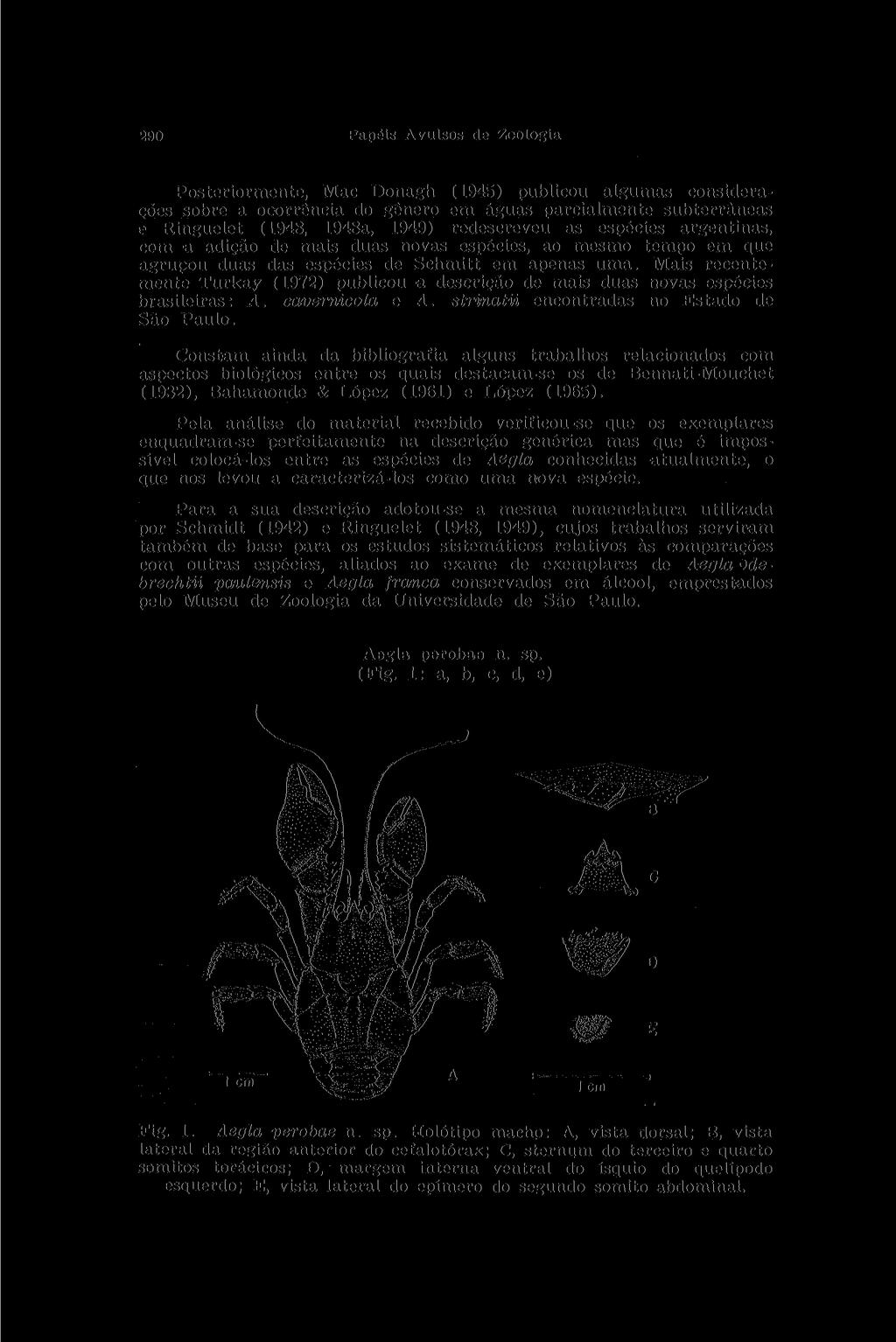 290 Papéis Avulsos de Zoologia Posteriormente, Mac Donagh (1945) publicou algumas considerações sobre a ocorrência do gênero em águas parcialmente subterrâneas e Ringuelet (1948, 1948a, 1949)