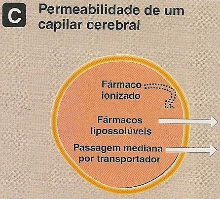 que o principal fator que influencia a distribuição dos