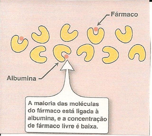 Os fármacos atravessam as membranas celulares somente na forma livre, sendo que, um fármaco ligado às proteínas plasmáticas fica retido na corrente sanguínea.