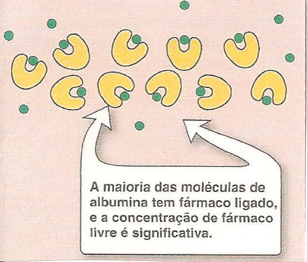 menos frequentes, quando comparado com aqueles que se ligam mais fracamente e