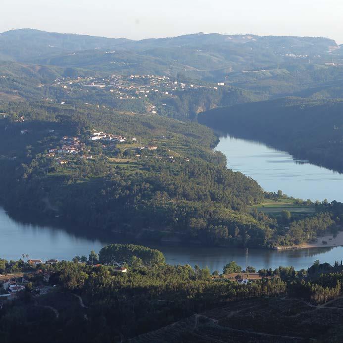 Explore a Natureza A presença dos rios Douro, Ferreira e Sousa bem como as serras de Pias, Santa Justa, Castiçal, Flores e Banjas, aliados a uma ampla biodiversidade e à autenticidade cultural