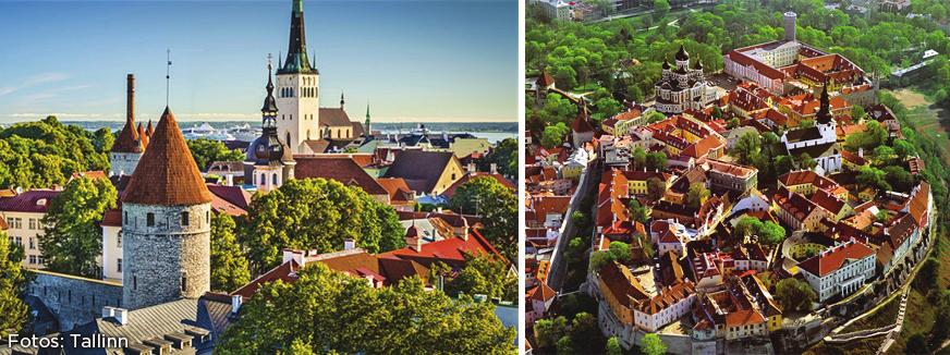 Veremos os Portões de Viru, a Catedral de Alexander Nevsky e o Mirante de Kohtu, com magnífica vista das muralhas medievais e suas torres de defesa.