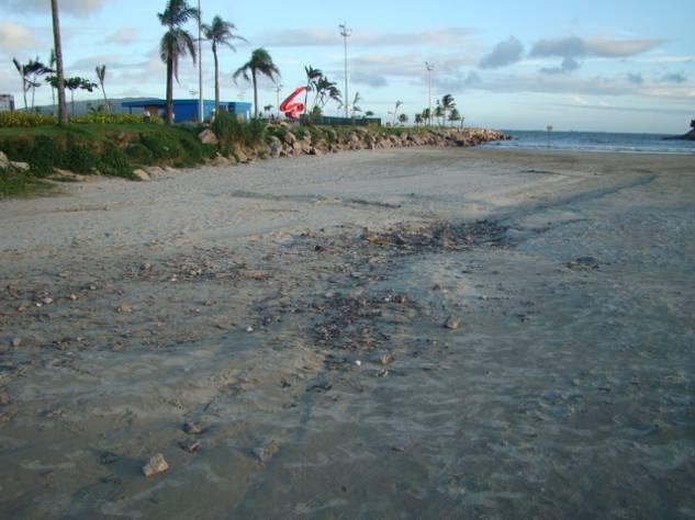 Perfil Stos-02 em 10 de março de 2011 (esquerda), mostrando sinais de erosão pluvial (linha de drenagem bem marcada e exposição de leito de pequenas pedras sob a areia), e em 22de junho de 2011