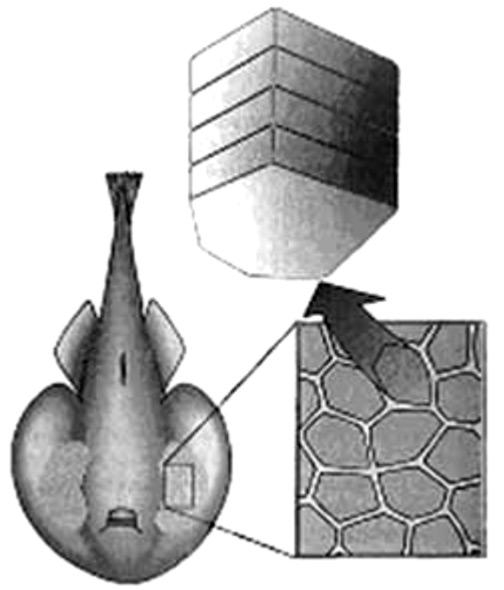 física 3 Considerando os trechos entre os pontos A e B e entre os pontos C e D, pode-se afirmar que, a) entre A e B, a área varrida pela linha que liga o planeta ao Sol é maior do que aquela entre C