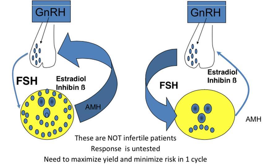 ASSESS OVARIAN RESERVE TO