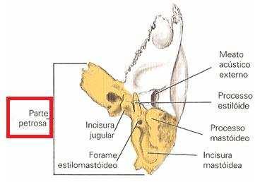 nasal, zigomático; B) zigomático, esfenoide, etmóide, nasal; C) maxila, frontal,