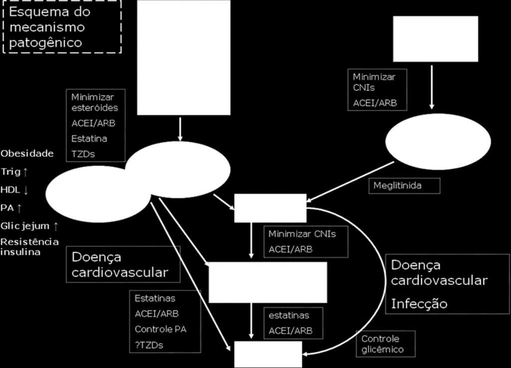 Figura 2: Mecanismo patogênico que associa os fatores de risco para DMPT com aumento do risco de disfunção do enxerto renal e morte.