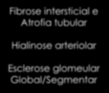 Hialinose arteriolar Esclerose glomeular Global/Segmentar Fisiopatologia comum Naesens M,