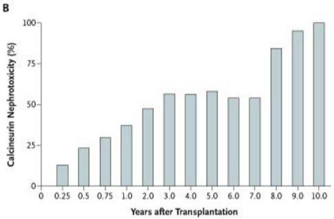 NEFROTOXICIDADE CRÔNICA Estudo prospectivo:120 pacientes transplantados Pâncreas-Rim (1987-2000): - 93