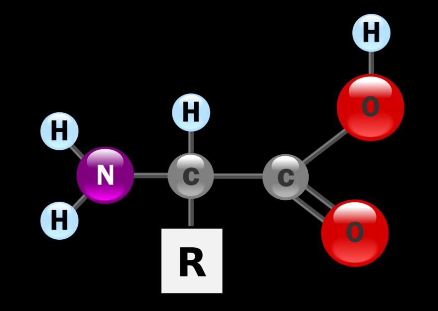 PROTEÍNAS