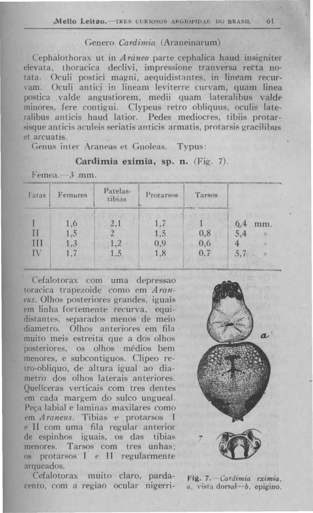 ello Leitao. J RJ!.!j Ct RlO~OS NGlOJ)D.~b UO BRA ll 61.enero Cardimia (Araneinarunl) horax ut in A rânco parte cephalica haud insigniter elevata.