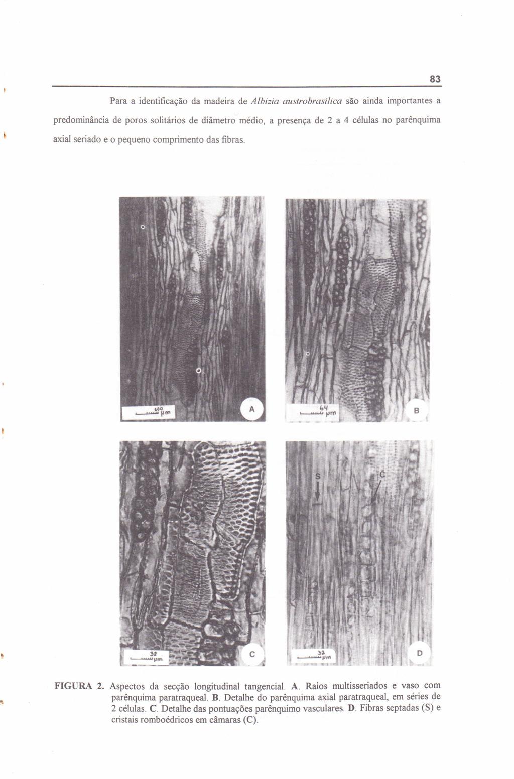 83 Para a identificação da madeira de Albizia austrobrasilica são ainda importantes a predominãncia de poros solitários de diâmetro médio, a presença de 2 a 4 células no parênquima axial seriado e o