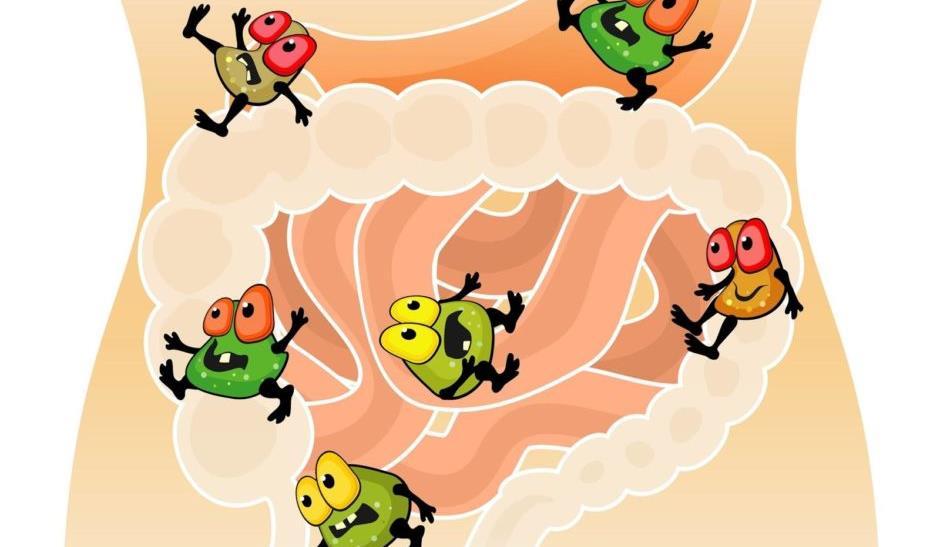 Evitar alimentos fontes de fermentação para os fungos como: Amendoim,