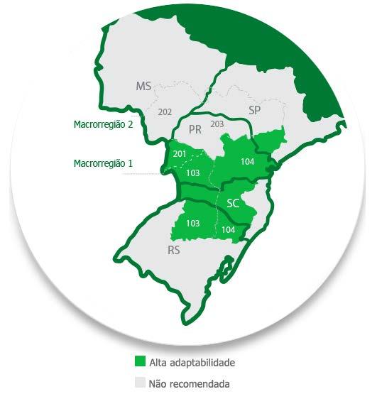 Posicionamento Genético CARACTERÍSTICA AGRONÔMICA Grupo