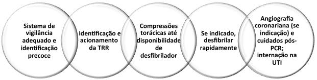 Vida Cardiovascular ou ACLS (Advanced Cardiovascular Life Support) e (3) Cuidados pós-pcr.