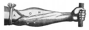 4. A imagem representa uma ilustração retirada do livro De Motu Cordis, de autoria do médico inglês Willian Harvey, que fez importantes contribuições para o entendimento do processo de circulação do