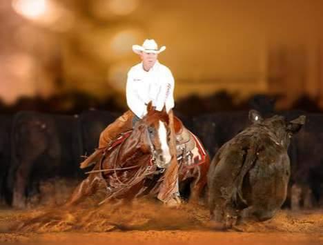 01 FAT TONY COBERTURA ALAZÃO 04/02/2005 VENDEDOR: TROY RANCH LOCALIZAÇÃO: MOGI MIRIM - SP 4 lugar 2ª Etapa Campeonato Sul Matogrossense 2015/2016 Apartação Aberta.