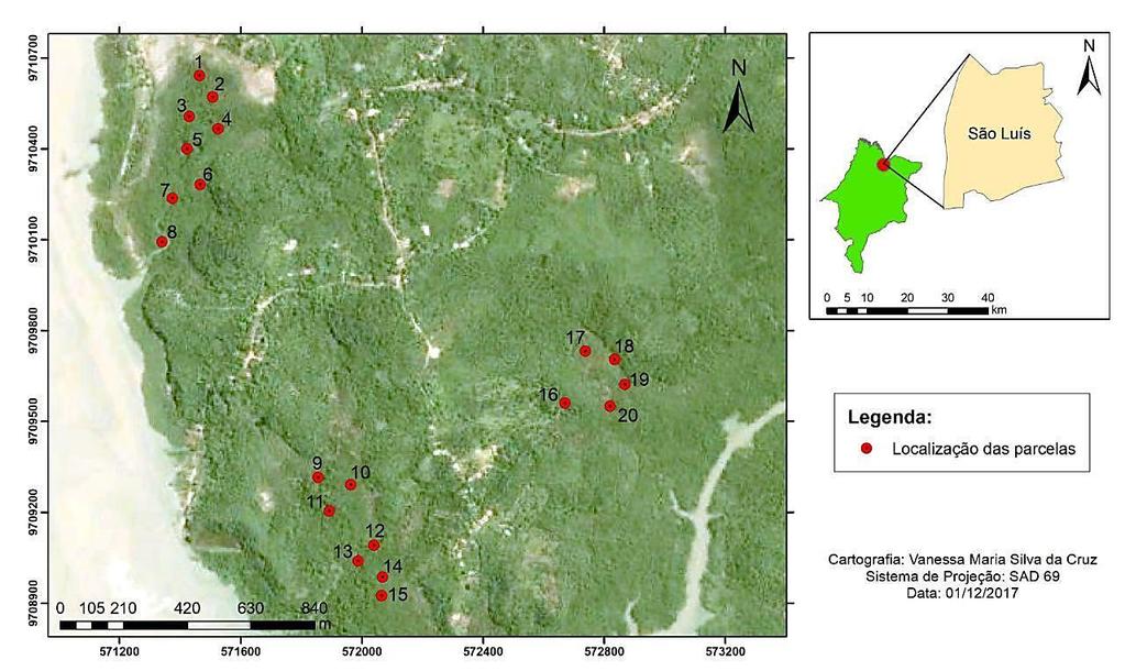 Figura 1. Alocação das parcelas amostrais no manguezal da zona portuária de São Luís MA.