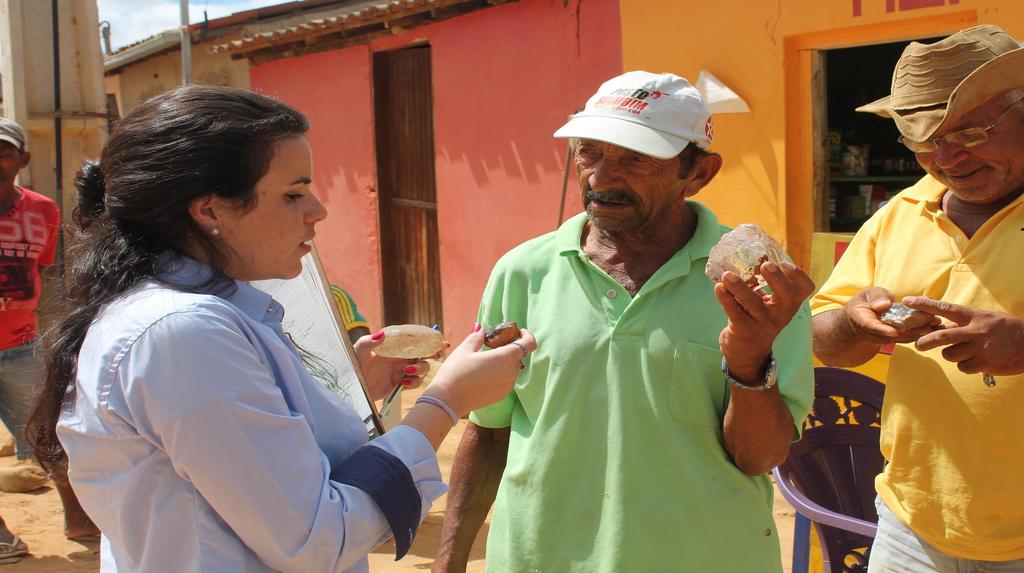 O papel das consultorias na inovação e difusão de boas práticas, influenciando