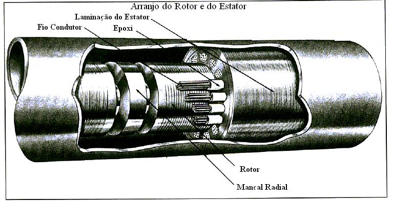 25 Figura 7 - Motor utilizado em uma BCS Fonte: Prado, 2007 Protetor: instalado entre o motor e a admissão da bomba, o protetor é um dispositivo que conecta o eixo do motor ao eixo da bomba por meio
