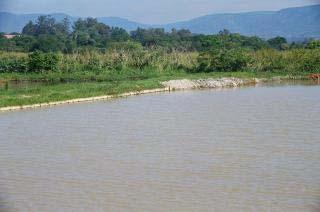 Indicadores para Avaliação Ambiental em Pesque-Pagues nas Dimensões Ecologia da Paisagem e 29 Foto: Julio F.