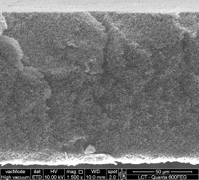 Para avaliar a estrutura da membrana utilizada foram feitas análises por microscopia eletrônica de varredura (MEV) em microscópio Quanta 600 FEG (Marca: FEI), equipado com espectrômetro de raios X