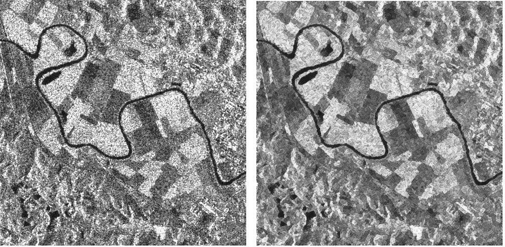 27 Figura 11 - Speckle na imagem de radar Fonte: Zhang (2010) (a) (b) Para a imagem do sensor Sentinel-1, utilizada nesse trabalho, o filtro específico aplicado é o Lee Sigma que segundo Lee e