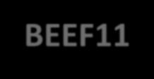 Subscrição (BEEF11).