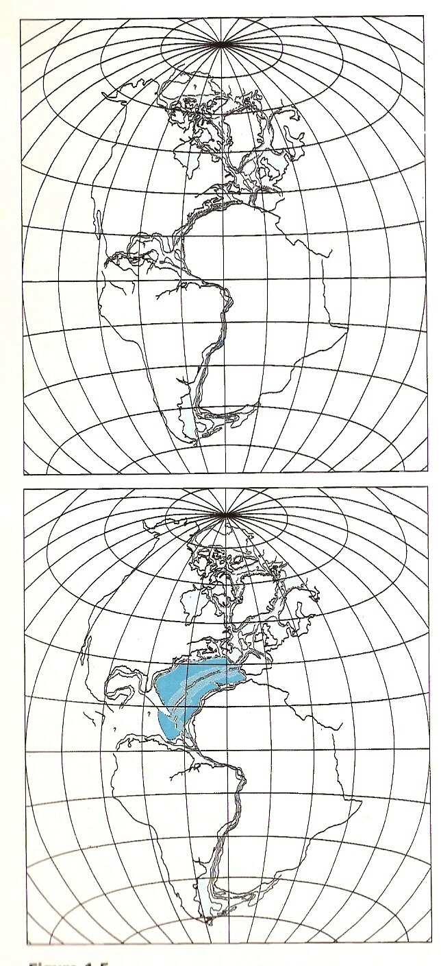 Abstract This paper aims to analyze the morphology of the continental margin adjacent to the Delta do Parnaíba, identifying geological and geomorphological structures, with the purpose of assist the