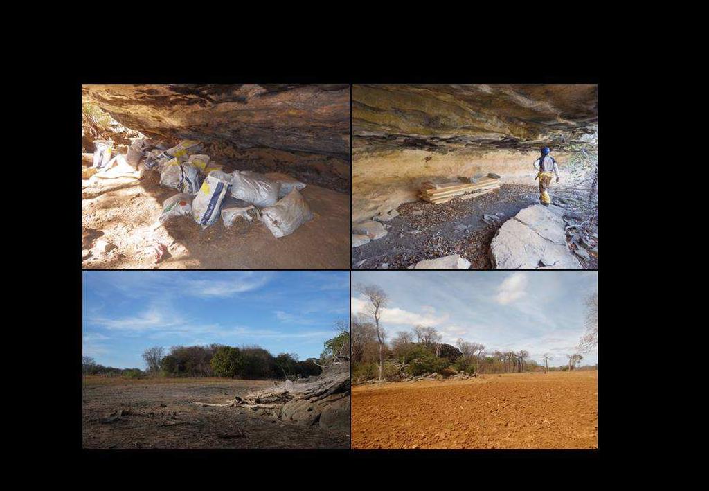 A B C D Figura 14 Alterações antrópicas observadas no entorno e nas cavernas da região cárstica de Iuiú (A e B utilização de cavernas como depósito de materiais; C área de inundação cíclica e D