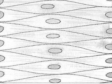 Seres pluricelulares. Organização do corpo dos seres vivos. Identificar a célula como unidade fundamental da vida. O tipo de célula indicada pela seta é um neurônio ou célula nervosa. 2.