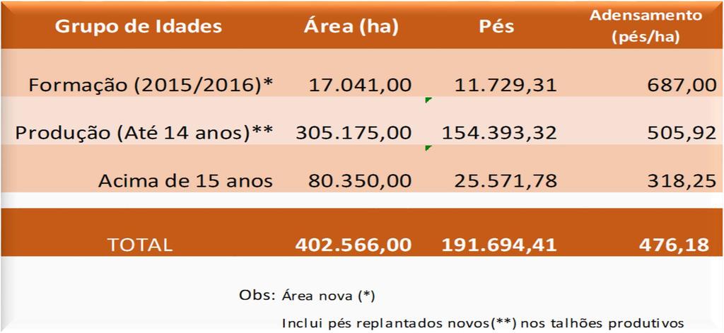 Mas, reposição dos pomares ainda é pequena.