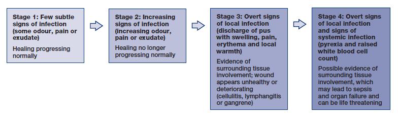 I - Infeção FONTE: Vowden, P., & Cooper, R. (2006). An integrated approach to managing wound infection. European Wound Management Association (EWMA).