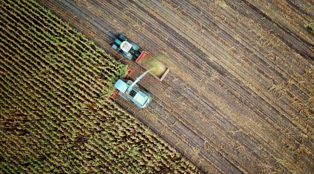 Exportamos minério de ferro e chapas grossas de aço como matéria prima a US$ 300/ton e importamos chapas finas como produto final a US$ 1000/ton ou mais, dependendo da especificação e composição